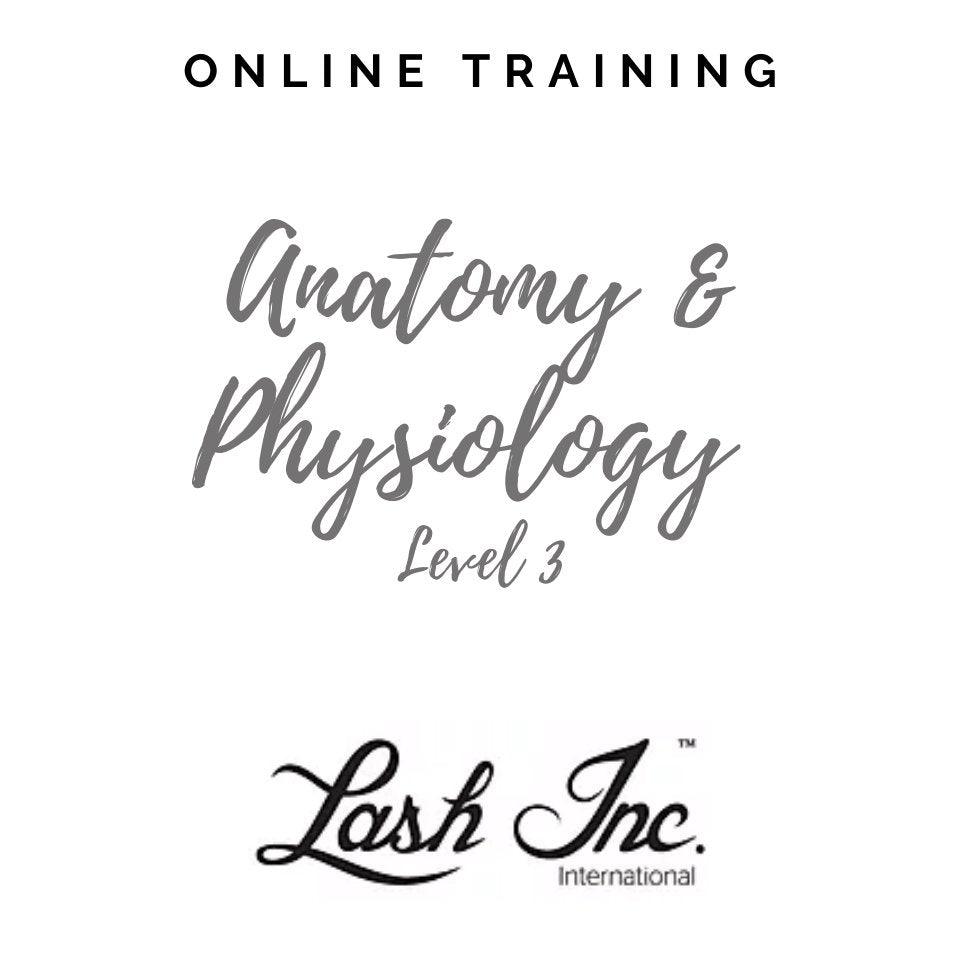 Anatomy & Physiology level 3 (Lashinc) - flirties